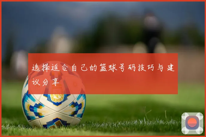 选择适合自己的篮球号码技巧与建议分享