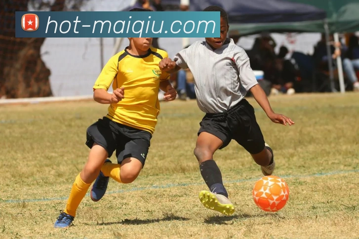 多媒体互动体验